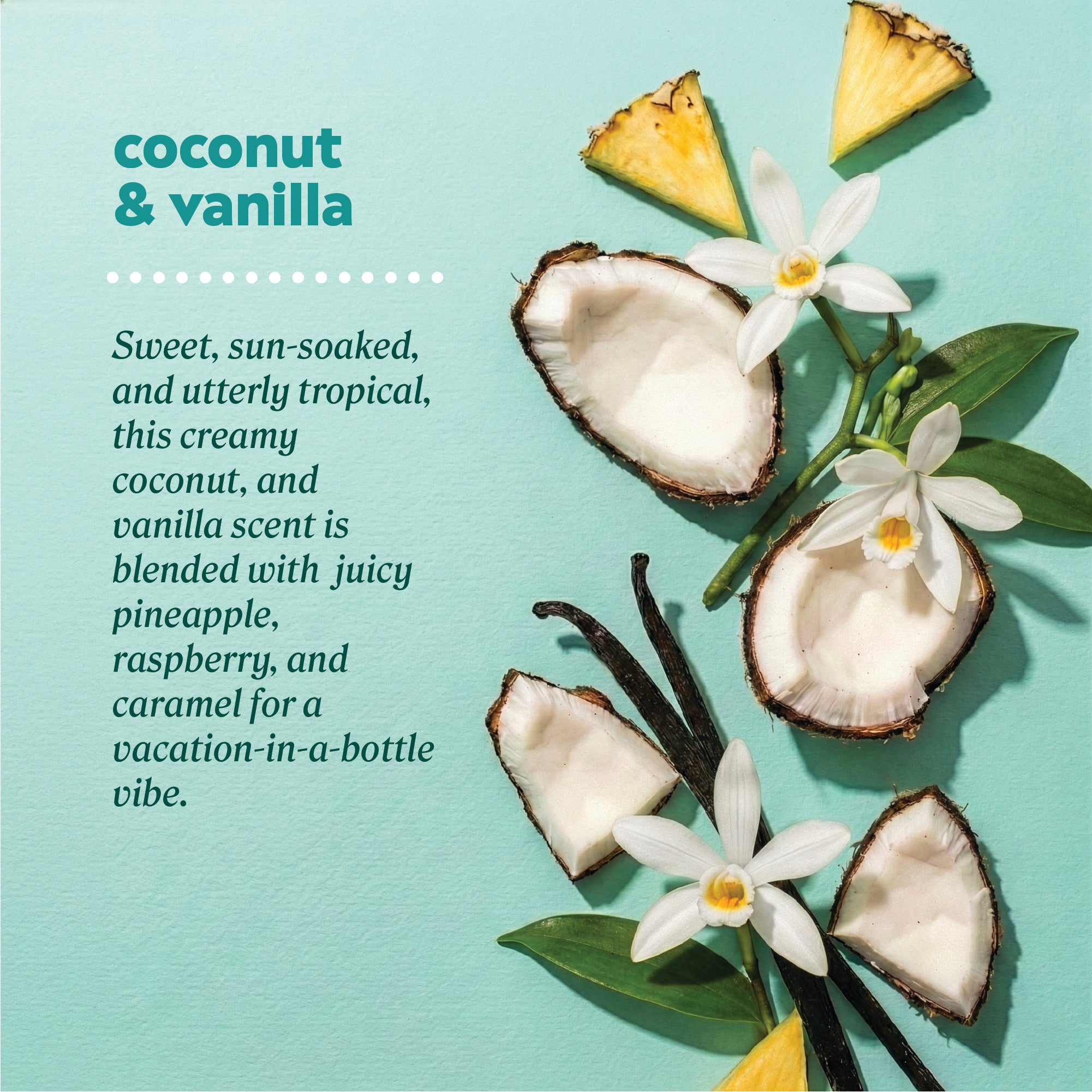 Flat‑lay arrangement of coconut pieces, vanilla flowers, vanilla beans, and pineapple slices beside product scent description. Text reads: ‘coconut & vanilla. Sweet, sun‑soaked, and utterly tropical, this creamy coconut and vanilla scent is blended with juicy pineapple, raspberry, and caramel for a vacation‑in‑a‑bottle vibe.